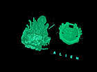 FAC #120 VETŘELEC Glow In The Dark FULLSLIP XL EDITION #3 4K Ultra HD Steelbook™ Limitovaná sběratelská edice - číslovaná + DÁREK fólie na SteelBook™