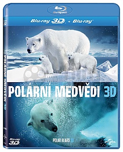 Polrn medvdi 3D